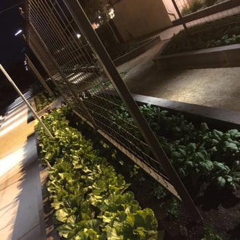 Pietro's - Gardens outside.. - Italian Near Me - Lodi, California Pietro's - Gardens outside.. - Italian Near Me - Lodi, California
