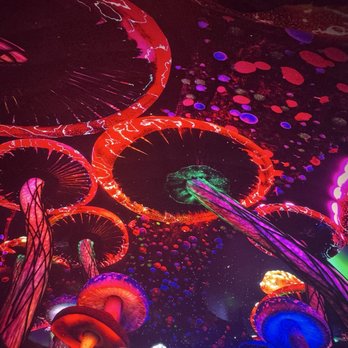 Sphere - Stadiums & Arenas Near Me - Las Vegas, Nevada Sphere - Stadiums & Arenas Near Me - Las Vegas, Nevada