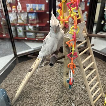 Petco - So handsome - Pet Stores Near Me - Sacramento, California Petco - So handsome - Pet Stores Near Me - Sacramento, California