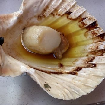 Casa Cappellari - Scallop appetizers - Venetian Near Me - Venezia, VE