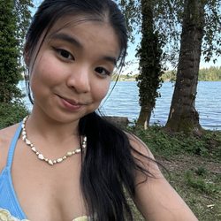 American Lake Park