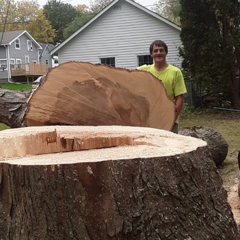 B G Tree Service - Big tree - Tree Services Near Me - Middleton, Wisconsin B G Tree Service - Big tree - Tree Services Near Me - Middleton, Wisconsin