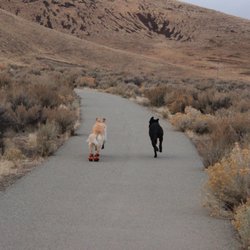 Pah Rah Interpretive Trail
