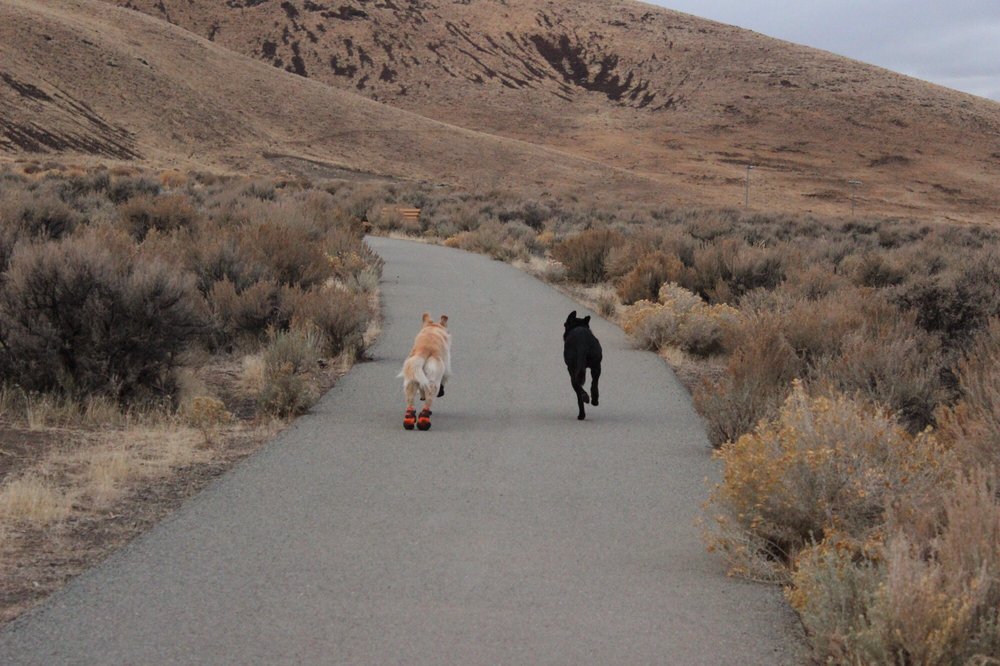 PAH RAH INTERPRETIVE TRAIL - Updated February 2026 - 35 Photos - Hans ...