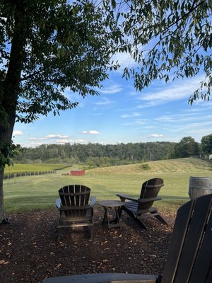 Slater Run Vineyards by null