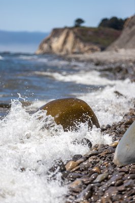 Bowling Ball Beach Trailhead by null