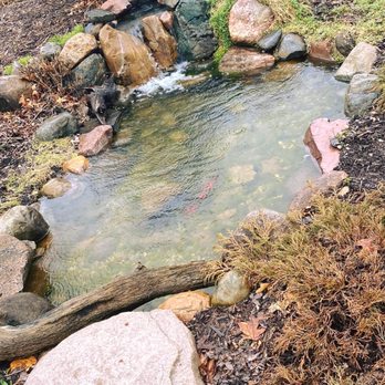 Williamson’s Water and Woods - a small stream - Home Services Near Me Williamson’s Water and Woods - a small stream - Home Services Near Me