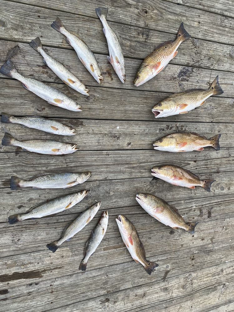 SALTY SURF CHARTERS La Marque, Texas Fishing Phone Number Yelp
