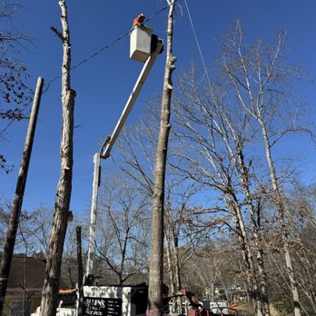 Allen's Tree Service - Crane Services Near Me - Youngsville, North Carolina Allen's Tree Service - Crane Services Near Me - Youngsville, North Carolina