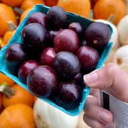 Reiff's Farm Market