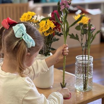 Wood Violet Montessori - Montessori Schools Near Me - Appleton, Wisconsin Wood Violet Montessori - Montessori Schools Near Me - Appleton, Wisconsin