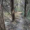 Oak Cliff Nature Preserve gift card