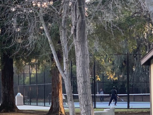 Jenny Strand Park by null