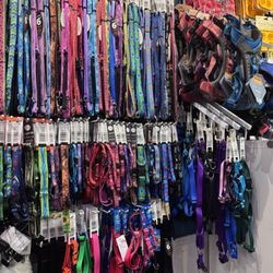 Beach Paws Boutique