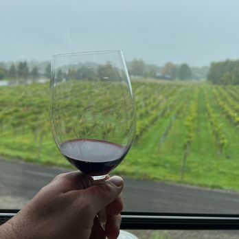 Living Roots Finger Lakes - Wine Tasting Room Near Me - Hammondsport, New York