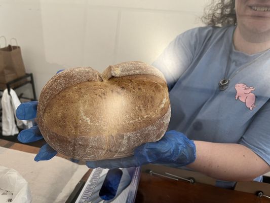 When Pigs Fly Breads by null