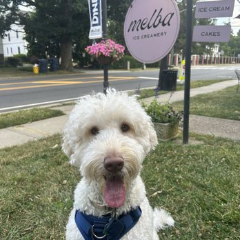 Melba Ice Creamery - Ice Cream & Frozen Yogurt Near Me - Lawrence Township, New Jersey