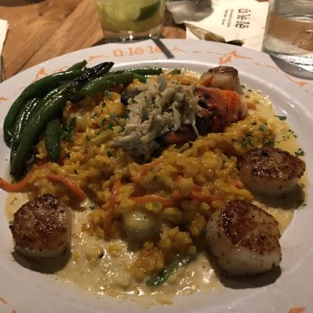 Ulele - Seafood risotto - New American Near Me - Tampa, Florida Ulele - Seafood risotto - New American Near Me - Tampa, Florida