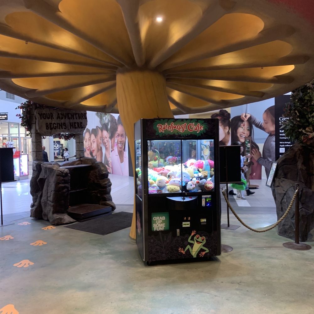 Rainforest Cafe - Interior - American Near Me - Katy, Texas