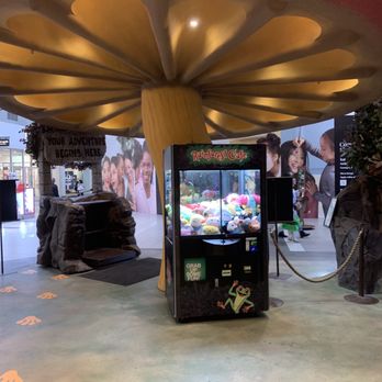 Rainforest Cafe - Interior - American Near Me - Katy, Texas