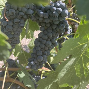 Peltzer Winery - Wineries Near Me - Temecula, California