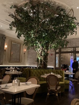 Frida's Mexican Cuisine by null