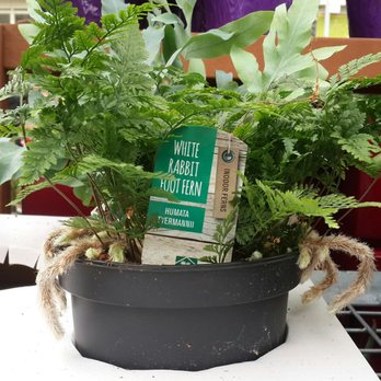 GARDENWORKS - Nurseries & Gardening Near Me - Burnaby, British Columbia