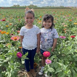 South Texas Maize