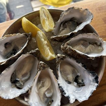 Octopussy's Seafood Tapas - Oysters - Yes!!! - Tapas Bars Near Me - Howth, D