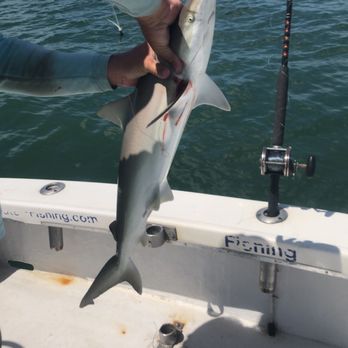 Pura Vida Charters - Tours Near Me - Saint Petersburg, Florida Pura Vida Charters - Tours Near Me - Saint Petersburg, Florida