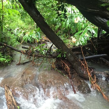 Aiea Loop Trail - Hiking Near Me - Aiea, Hawaii