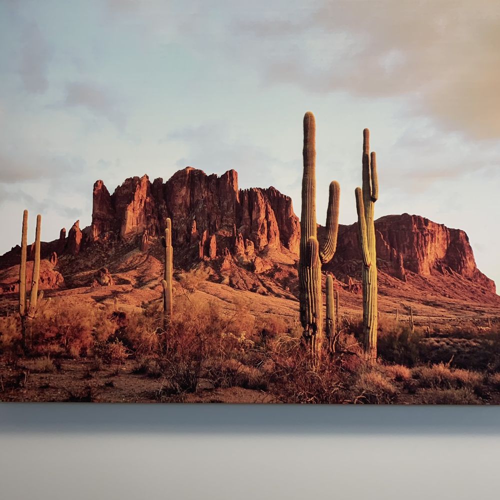 Cool desert art Cool desert art