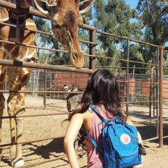 Wildlife Learning Center - Zoos Near Me - Sylmar, California