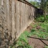 Hernandez Landscaping gift card