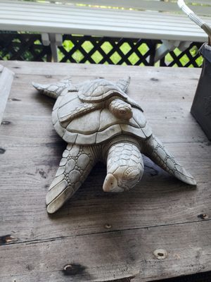 Orchid Tree Bed & Breakfast by null