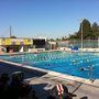 Swim Team Of Placentia