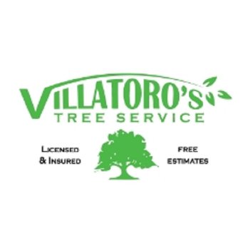 Villatoro's Tree Service - Logo - Tree Services Near Me - Culpeper, Virginia Villatoro's Tree Service - Logo - Tree Services Near Me - Culpeper, Virginia