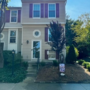 RGS Services - After removal, new tree planted. - Tree Services Near Me