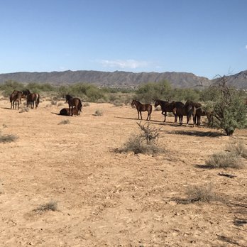 KOLI Equestrian Center - Venues & Event Spaces Near Me - Phoenix, Arizona
