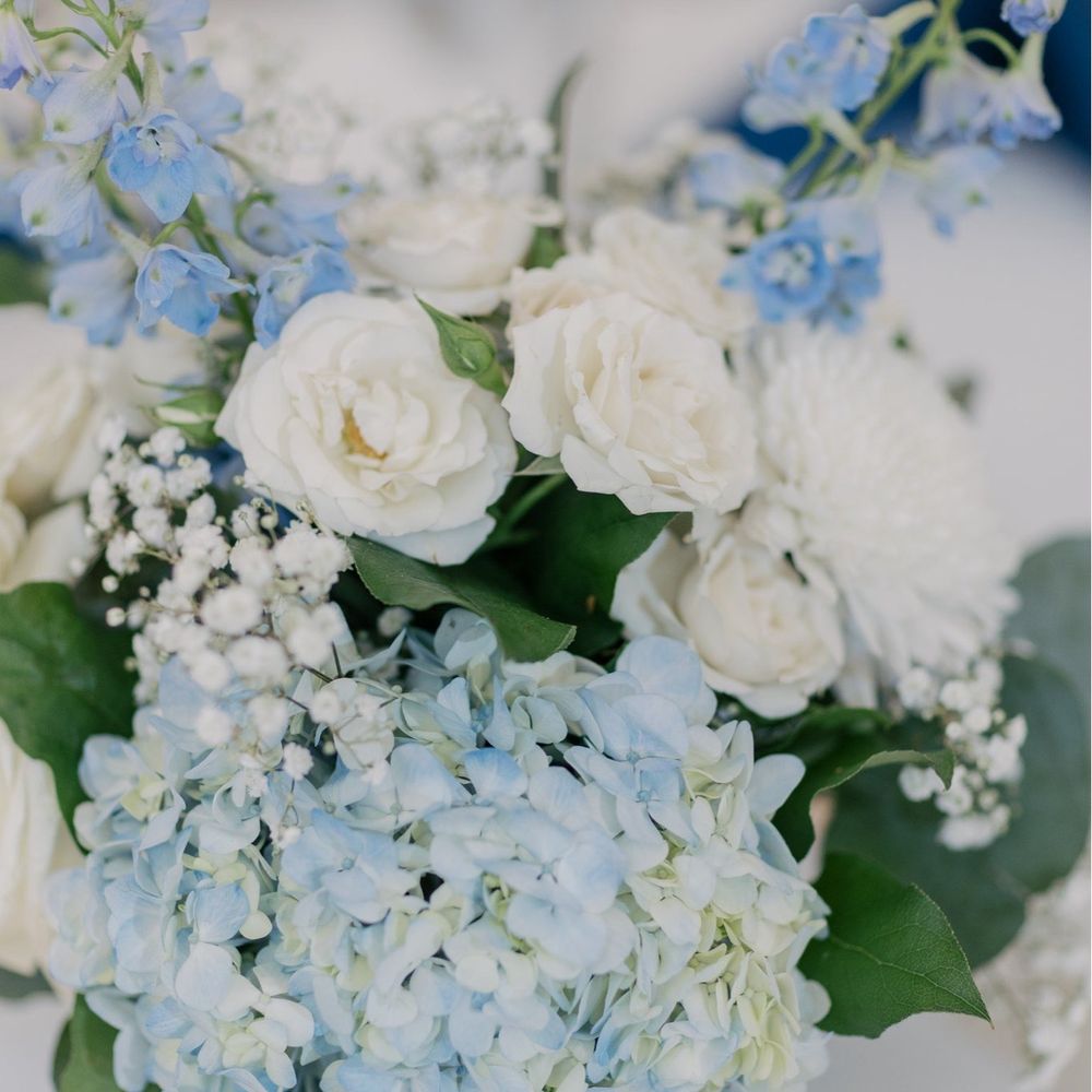 Mayfield Flowers - Florists Near Me - Crystal Lake, Illinois Mayfield Flowers - Florists Near Me - Crystal Lake, Illinois