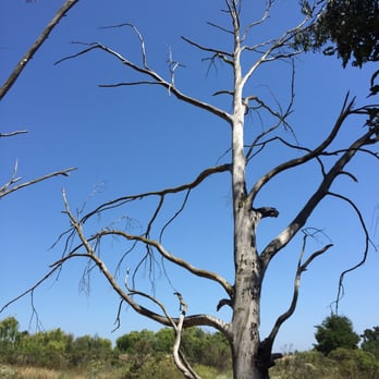 Ulistac Natural Area - Parks Near Me - Santa Clara, California