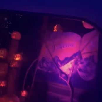 Roger Williams Pumpkin Spectacular - Pumpkin Patches Near Me - Providence, Rhode Island