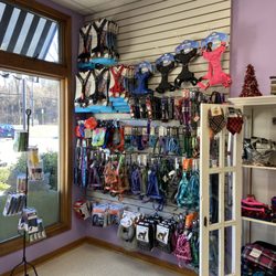 Maxwell & Molly's Closet