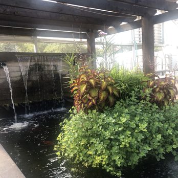 Family Tree Nursery - Nurseries & Gardening Near Me - Overland Park, Kansas Family Tree Nursery - Nurseries & Gardening Near Me - Overland Park, Kansas