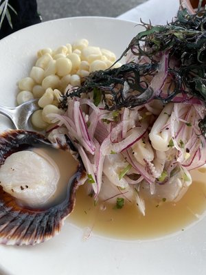 Tambo 22 Peruvian-Italian Kitchen by null