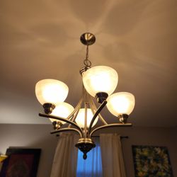 The Raleigh Handyman