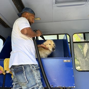 Doggie Shine Mobile Pet Spa - Charlie getting a blow dry from Pinkie - Pet Groomers Near Me Doggie Shine Mobile Pet Spa - Charlie getting a blow dry from Pinkie - Pet Groomers Near Me