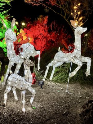 Ethel M Chocolates Factory & Cactus Garden by null