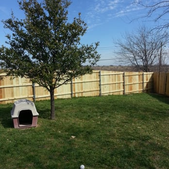 Hunt's Lawn Service - a dog house and tree - Tree Services Near Me - Benbrook, Texas Hunt's Lawn Service - a dog house and tree - Tree Services Near Me - Benbrook, Texas