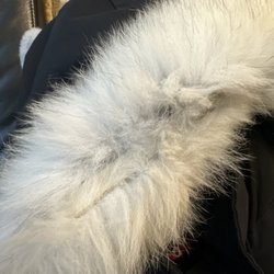 The Dry Cleaner - Fur falling out due to the mess up of this place